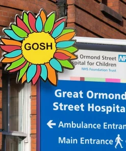 Hard Enamel Pin Badges